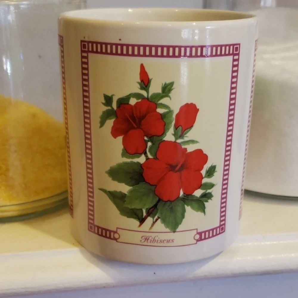 Hilo Hattie Island flowers coffee mug/pukka shells